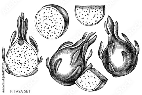 Vector set of hand drawn black and white pitaya