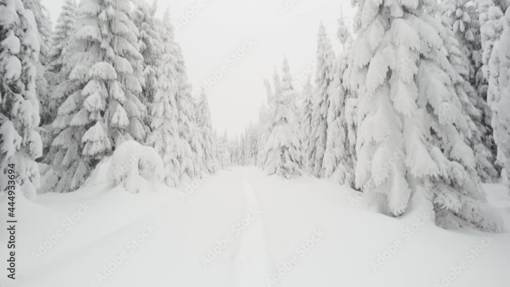 POV - a person walks down a pathway through a snow-covered winter forest POV - a person walks down a pathway through a snow-covered winter forest