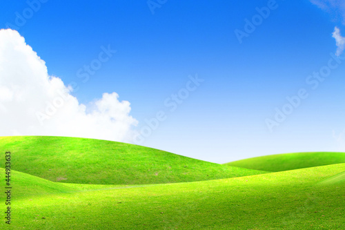 Green meadows with blue sky