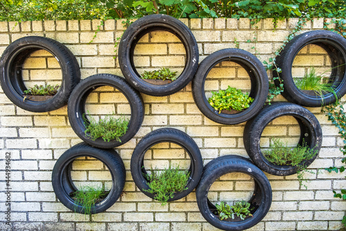 View of a white brick wall where old car tires are used as flower tubs 