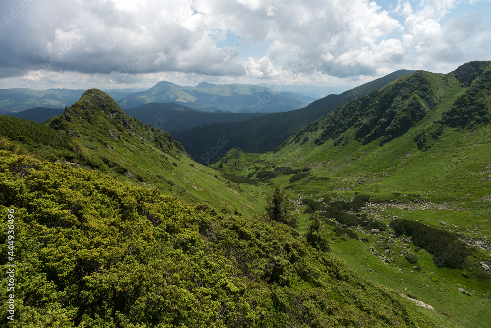 Fototapeta premium Landscape panoramic view of summer Maramures