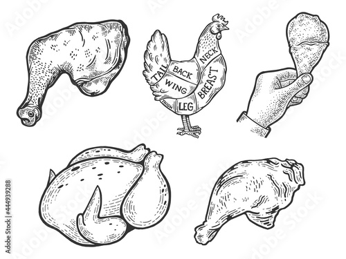 Chicken leg meat hen set line art sketch engraving vector illustration. T-shirt apparel print design. Scratch board imitation. Black and white hand drawn image.