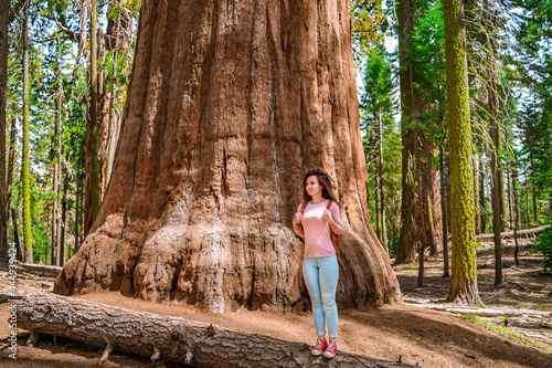 A female tourist walks through the forest among huge trees in Sequoia National Park, USA