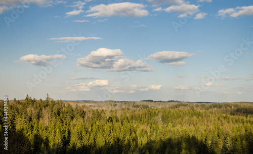View from the top of the hill Krievkalni in spring evening, Latvia.