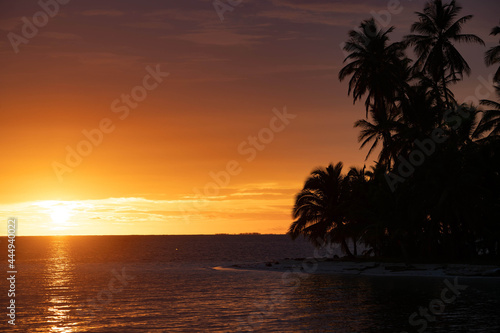 Fototapeta Naklejka Na Ścianę i Meble -  Sunset on the island of tropical sea with palm tree. Summer, vacation, tropical resort and travel concept. copy space 