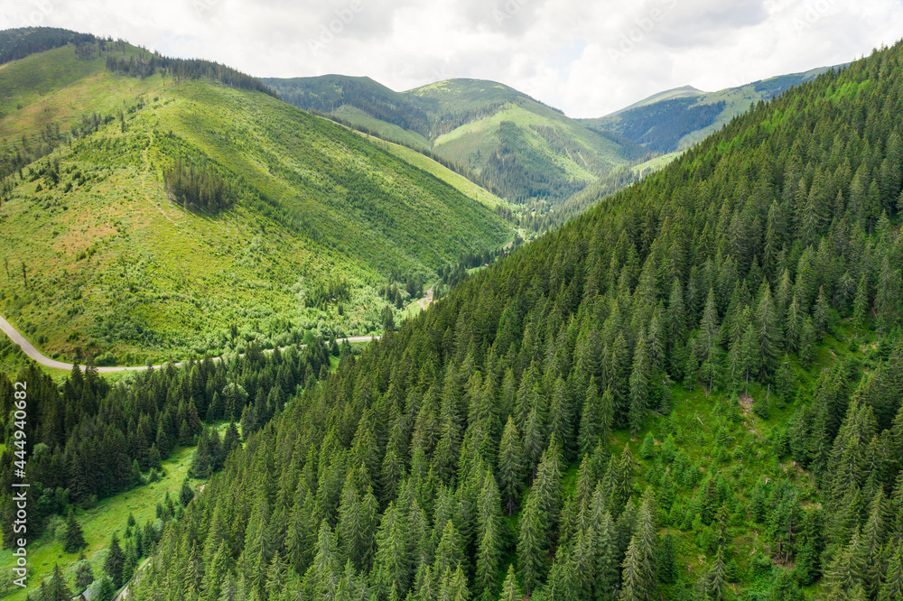 Panoramic view of green mountain hills in the summer. Green valley with high trees 
