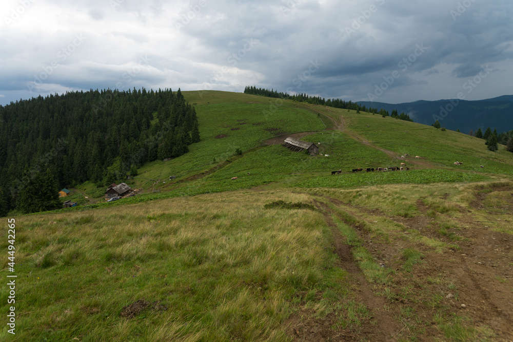 Farm in Carpathian Mountains, Ukraine Farm in Carpathian Mountains, Ukraine