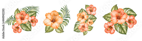 Watercolor elements of blooming hibiscus. Tropical set garden flowers. Collection botanic illustration leaves, flower and branches.