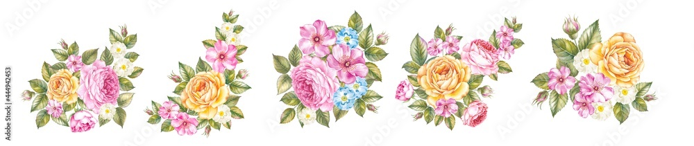 Watercolor elements of blooming rose. Set garden flowers. Collection botanic illustration leaves, flower and branches. Watercolor elements of blooming rose. Set garden flowers. Collection botanic illustration leaves, flower and branches.