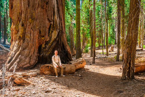 A young man sits on a tree in the forest in Sequoia National Park, USA
