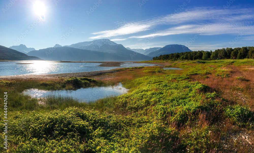Picturesque multi-colored panorama of the mountains, forests, river and lakes of Norway. In the foreground is green orange thickets on the river bank. Morning.Evening. Norway.