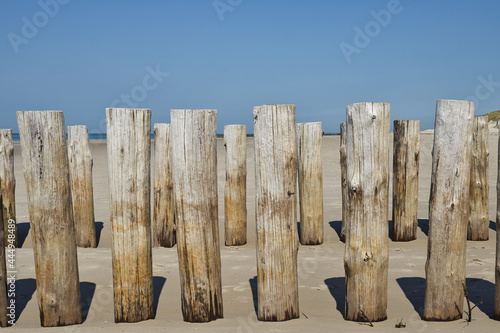 Two rows of poles in the sand on the beach during ebb in summer. Breakwaters in Zeeland.
