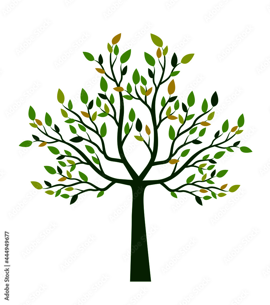 Shape of Tree with leaves. Vector outline Illustration. Plant in Garden. Shape of Tree with leaves. Vector outline Illustration. Plant in Garden.