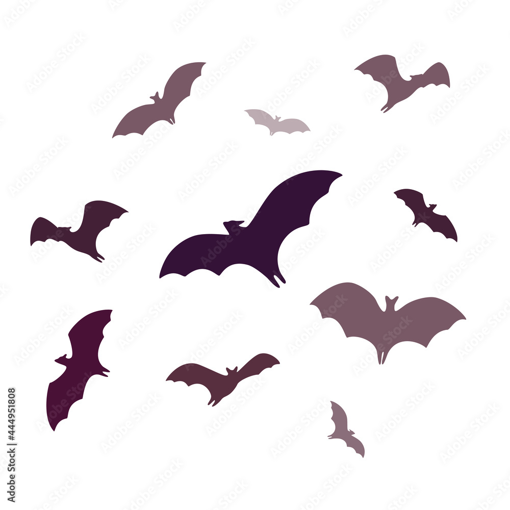 Fototapeta Flying bats, a group of cartoon cave bats isolated on white background. Vector illustration in flat cartoon style