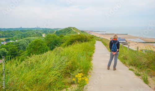 Green grassy dunes along the North Sea coast illuminated by the light of a colorful sun and a blue cloudy sky in summer, Walcheren, Zeeland, the Netherlands, July, 2021