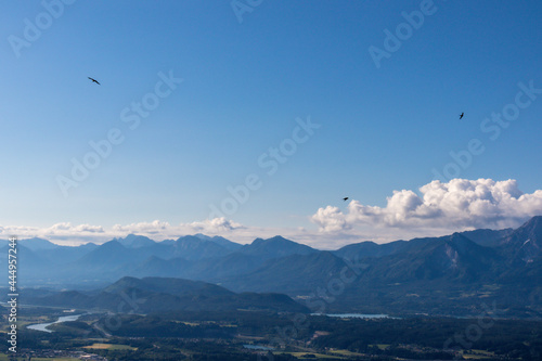 A bird flying across the sky with the view on the valley at the foothill of Austrian Alps. The mountains in the back are very steep and sharp. Lush pastures in front. Clear and blue sky. Serenity