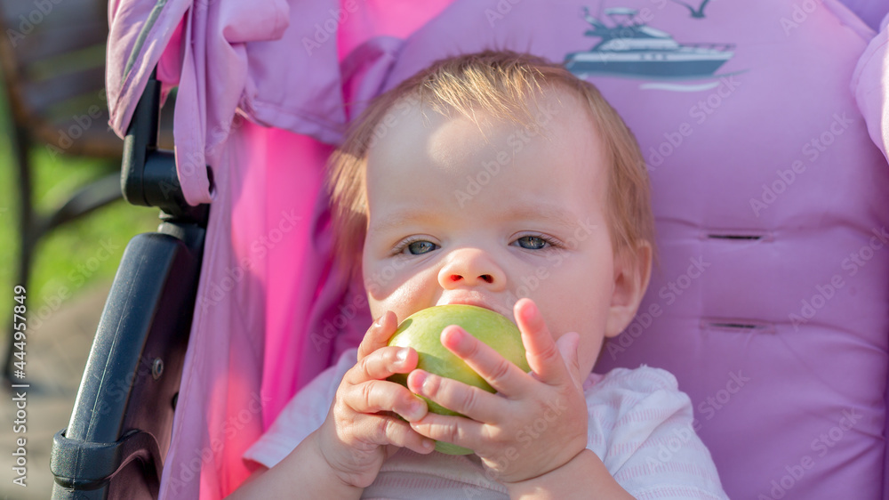 A little girl sitting in baby carriage with a big appetite eats an apple. A little girl sitting in baby carriage with a big appetite eats an apple.