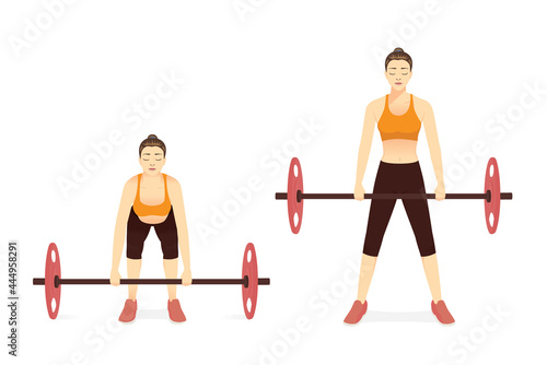 Women doing Barbell Deadlift workout in standing pose. Illustration about Fitness diagram about correct exercise poses with Heavyweights equipment in the gym.
