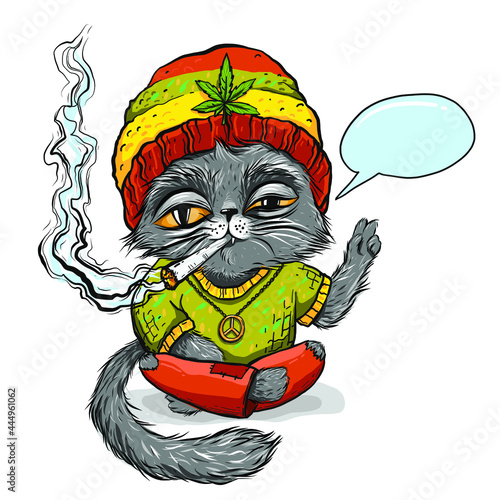 Rasta cat in colorful hat, cat relax. Vector EPS10