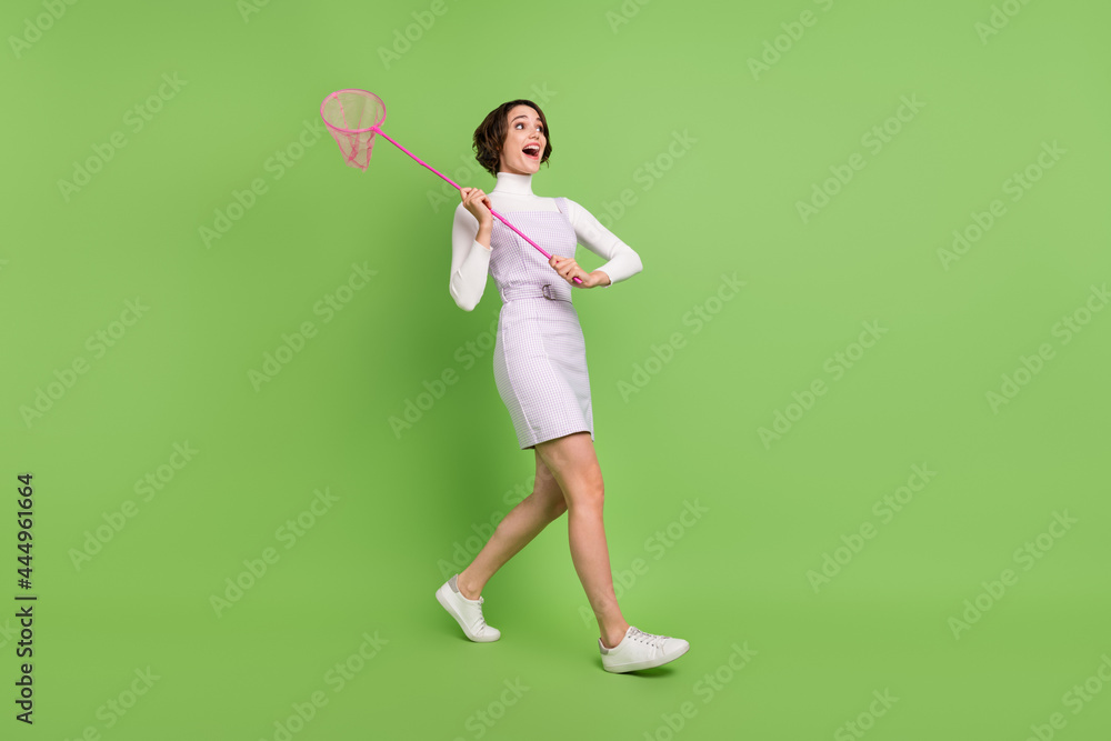 Full length body size photo girl catching insects with net isolated pastel green color background - obrazy, fototapety, plakaty 