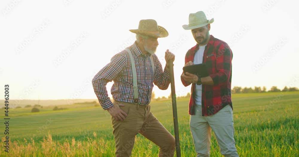 Two farmer engineers wearing hat examining plants and controlling water system in the field while standing and discussing during the looking at the tablet. Organic farm business concept Two farmer engineers wearing hat examining plants and controlling water system in the field while standing and discussing during the looking at the tablet. Organic farm business concept
