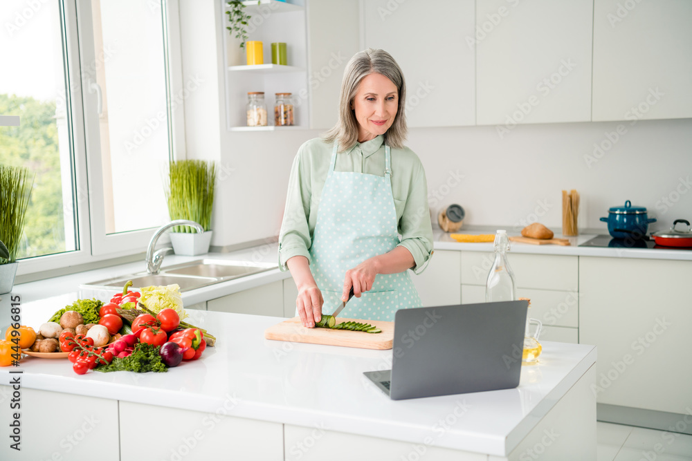 Portrait of attractive focused grey-haired woman preparing homemade dinner watching video tutorial recipe at home light white indoors Portrait of attractive focused grey-haired woman preparing homemade dinner watching video tutorial recipe at home light white indoors