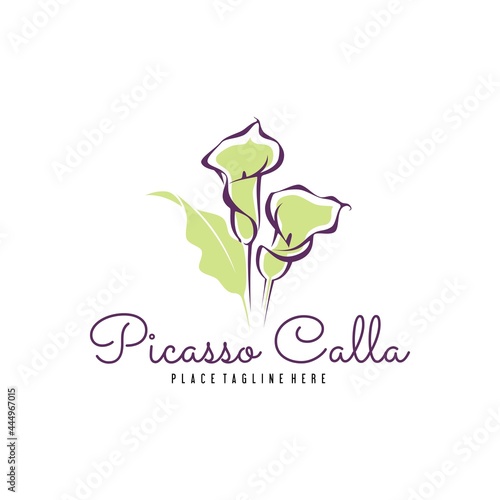 Flower Picasso Calla Lily Logo Design Vector Image