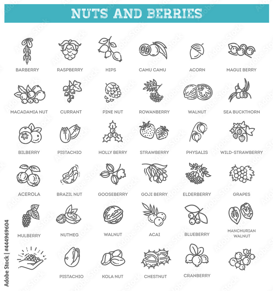web icons collection - nuts and berries. Vector symbols