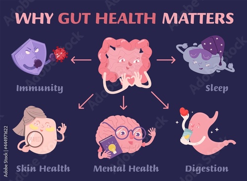 Why gut health matters. Scientific poster with characters.