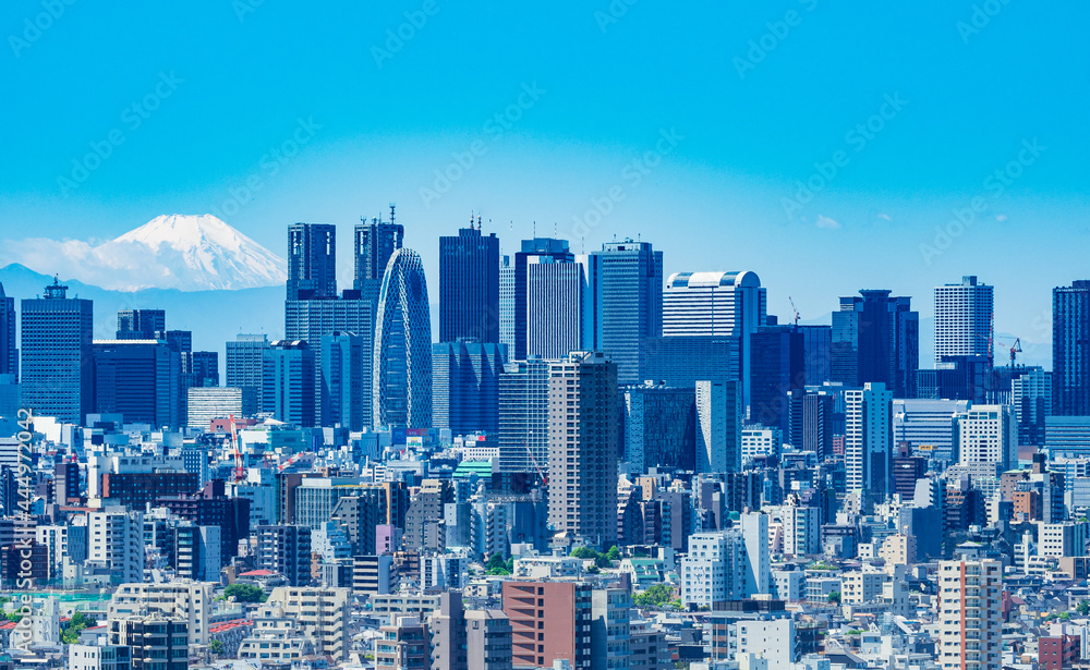 Fototapeta premium 富士山と新宿副都心