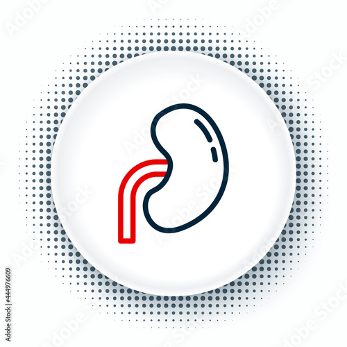 Line Human kidney icon isolated on white background. Colorful outline concept. Vector