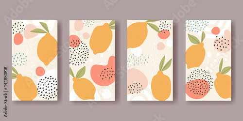 Set of vector vertical banners with abstract ornaments and lemon fruits	