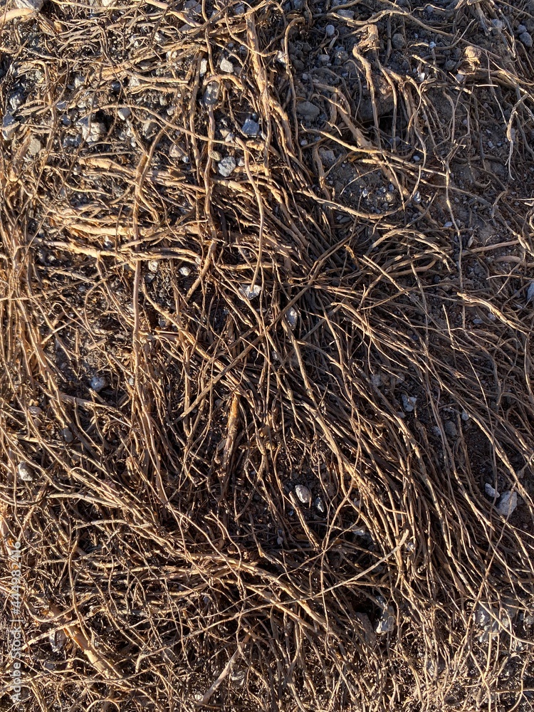 straw bale background straw bale background