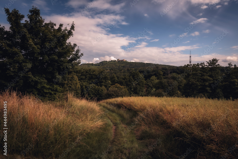 Franconian Bavarian Countryside in Summer Germany Franconian Bavarian Countryside in Summer Germany