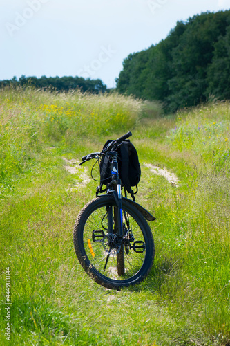 bike stands on the road in the field. A mountain bike stands on a field path with green grass. Mountain bike, blooming summer field, meadow flowers, sunny day. ride a bike. outdoor activities