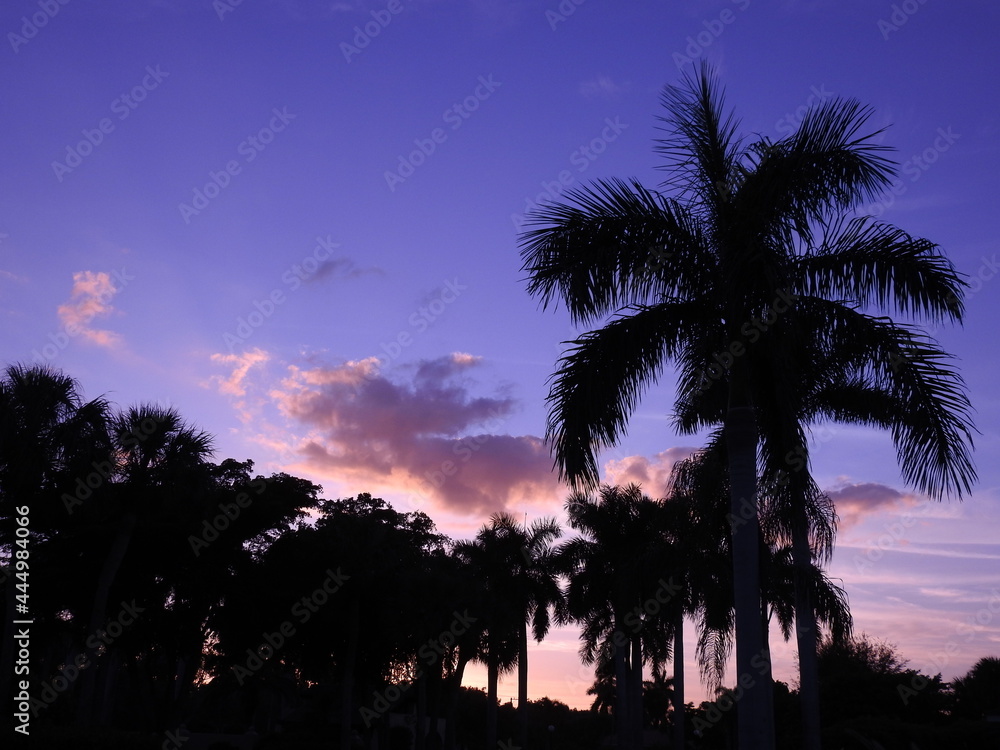 Obraz premium Sunsets