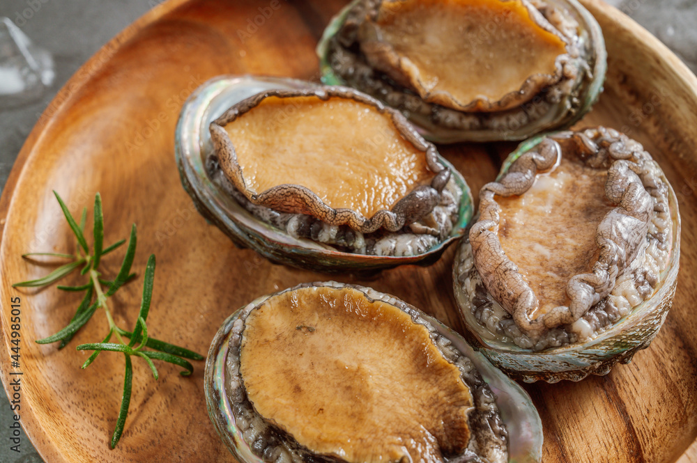 Fresh seafood abalone from the sea Fresh seafood abalone from the sea