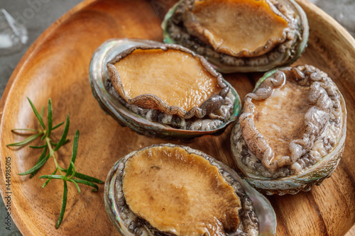 Foto Fresh seafood abalone from the sea
