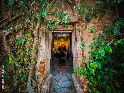 Tableau sur toile Old Buddha statue covered with trees roots in Wat Bang Kung Camp, Prok Bodhi Ubo