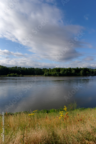 Fototapeta Naklejka Na Ścianę i Meble -  Loire river bank near the Chateauneuf-sur-Loire village