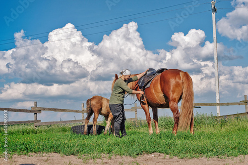 Young girls on the farm in the paddock work with a horse.