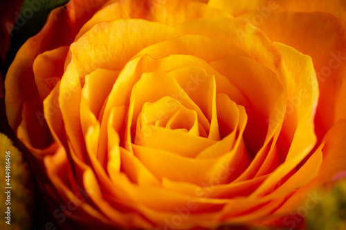 Closeup image from above of an orange and yellow flower