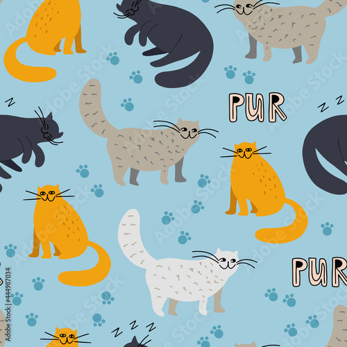 Vector seamless pattern with cute doodle cats