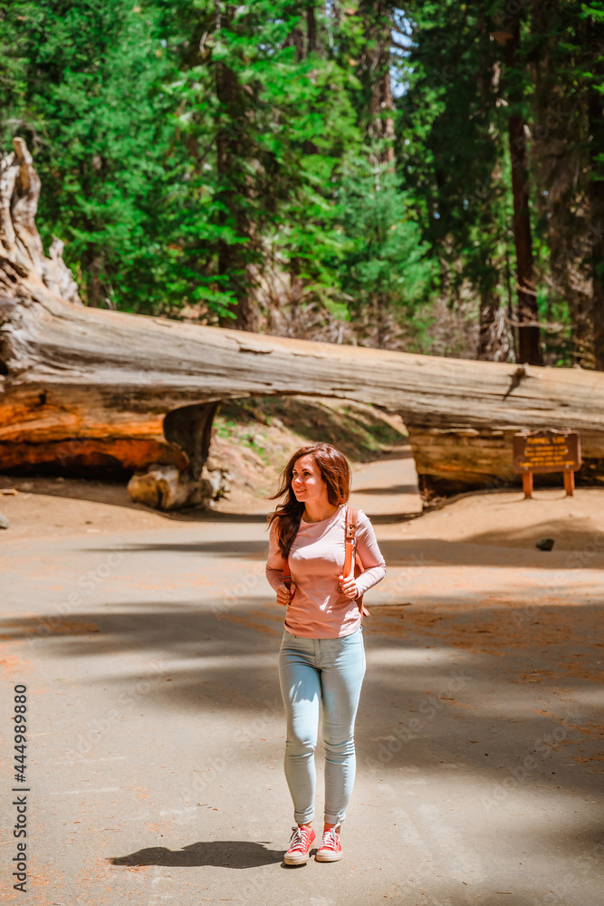 A beautiful young woman with a backpack walks through the forest in the direction of the Log Tunnel in Sequoia National Park, USA