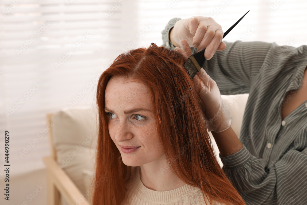 Fototapeta premium Professional hairdresser dyeing woman's hair with henna in beauty salon