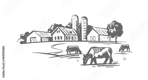 cow stands in a village next to houses