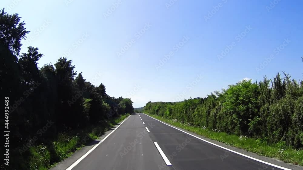 高原爽快ドライブ車窓 伊豆スカイライン 快晴 車窓から見る新緑の風景 高原爽快ドライブ車窓 伊豆スカイライン 快晴 車窓から見る新緑の風景