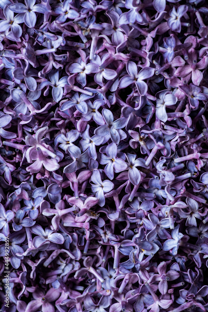 Lilac Blossom petals ingredient pattern Lilac Blossom petals ingredient pattern