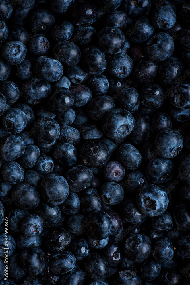 Pattern of Blueberries creating a background image Pattern of Blueberries creating a background image