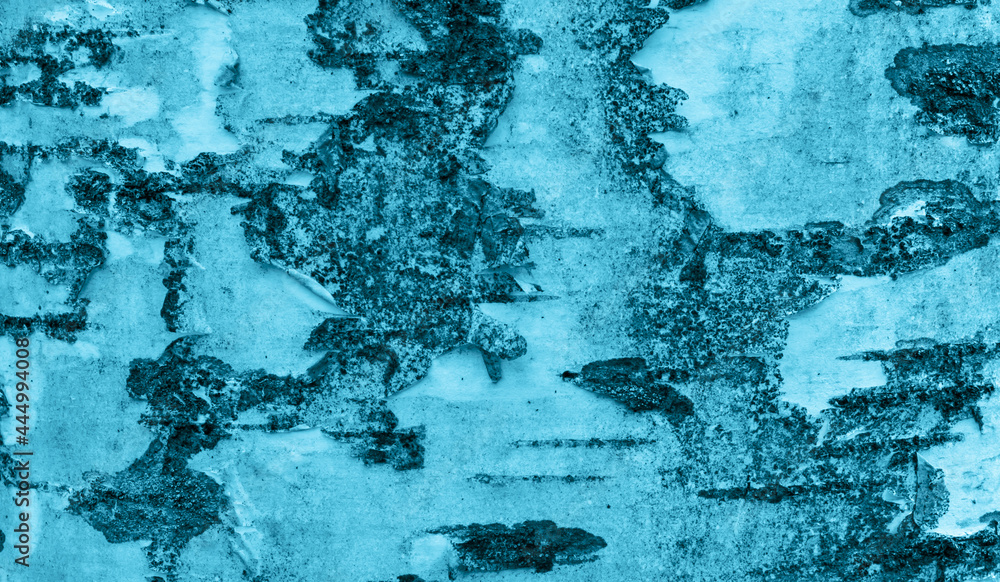 blue birch bark with visible texture. background